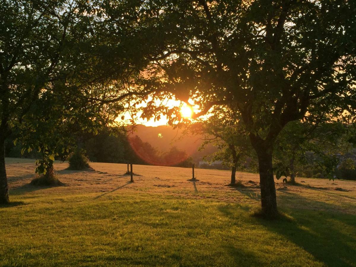 Domaine De Lascaux Bed and Breakfast Montignac-Lascaux Buitenkant foto