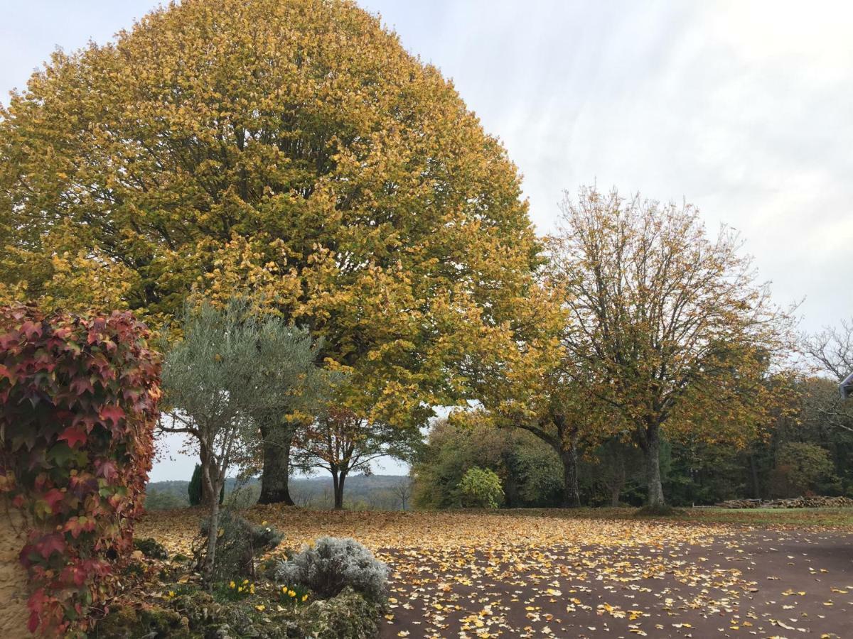 Domaine De Lascaux Bed and Breakfast Montignac-Lascaux Buitenkant foto