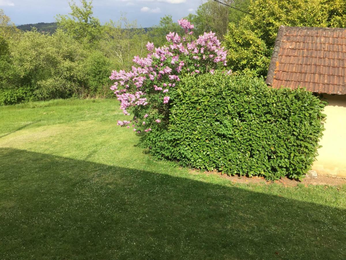 Domaine De Lascaux Bed and Breakfast Montignac-Lascaux Buitenkant foto
